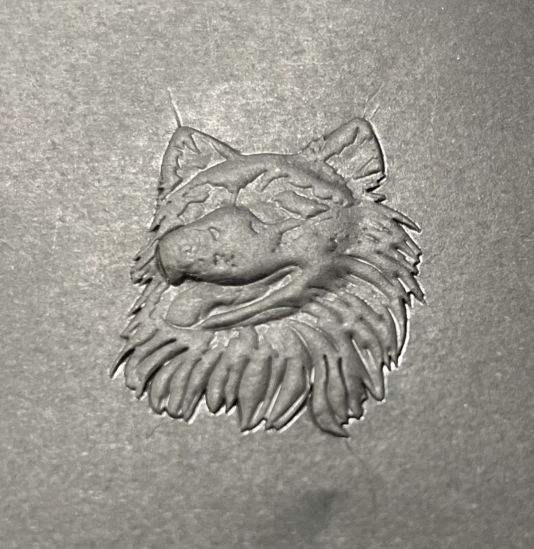 Αυτόματη μηχανή σφράγισης θερμού φύλλου για πλήρη σειρά χαρτιού συσκευασίας, σφράγιση χρωμάτων